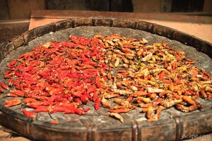 Hot Chili Peppers!