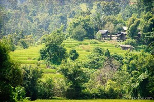Thai hill tribe village