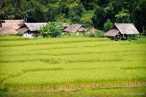 Previous: Hmong tribe village