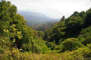 Northern Thailand jungles - Doin Inthanon National Park