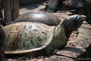 Carved turtle