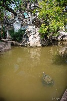 Wat Prayun - Turtle Temple