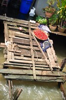 Chilis on a dock
