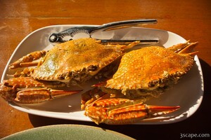 Thai crabs