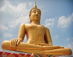 The BIG Buddha