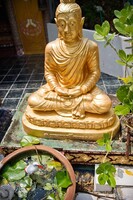 A Little Buddha