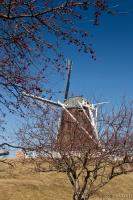 Dutch Windmill, De Immigrant - Fulton, IL