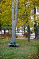 Rosemont Inn Resort - grounds