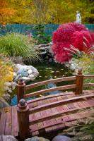 Rosemont Inn Resort - courtyard