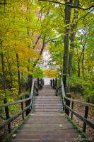 Long staircase down from Mount Baldhead