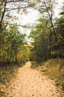 Sandy walkway to Lake Michigan