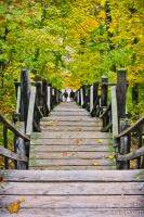 Long staircase down from Mount Baldhead