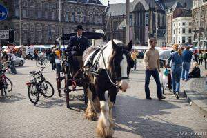 Horse and carriage at Dam Square