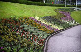 Flowers along the walkway in Madurodam