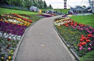 Flowers along the walkway in Madurodam