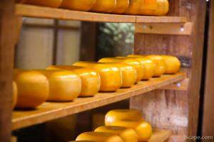 Lots of Dutch cheese