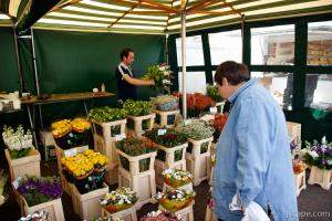Flower market in the central square