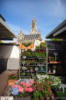 Flower market in the central square