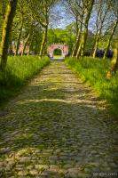 Cobblestone tree lined path to the Red Gate of the castle