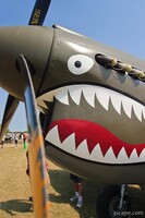 Curtiss P-40 Warhawk
