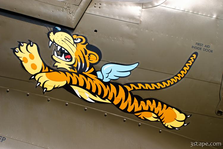 Flying Tiger on P-40 Warhawk