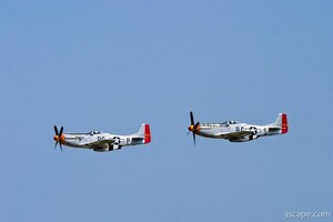 P-51D Mustangs 'Old Crow' and 'Gentleman Jim' in formation