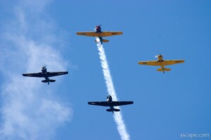 Warbirds flying in formation