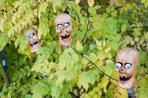 Springdale's Halloween greeting party