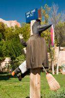 When witches drink and fly