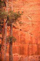 Previous: Zion rock