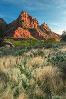 The Watchman