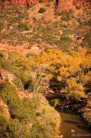 Zion Canyon and Virgin River