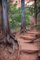 Emerald Pools Trail