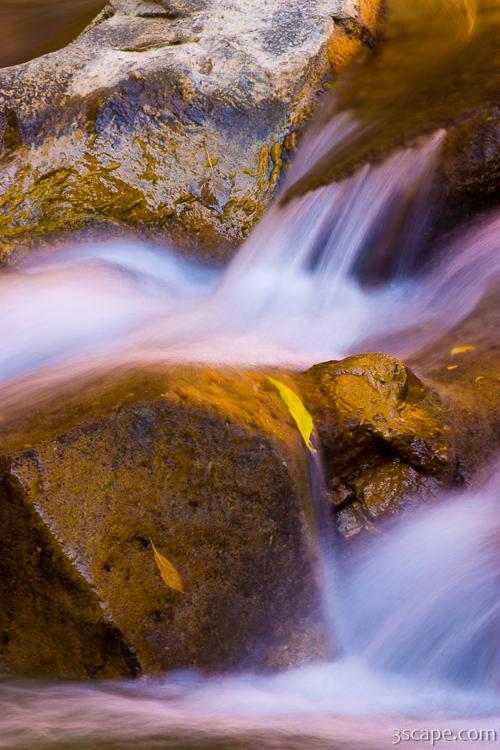 Waterfall (North Fork Virgin River)
