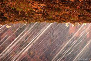 Weeping Wall abstract