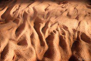 Sand ripples in the wash