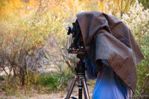 Large format photographer