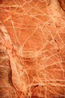 Veins in sandstone