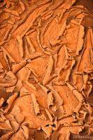 Rolls of dried mud in the wash