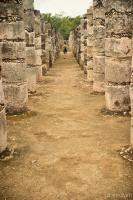 Walking among the columns