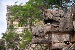 Mayan serpent heads
