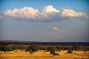Tarangire landscape