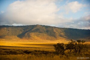 Ngorongoro Crater rim