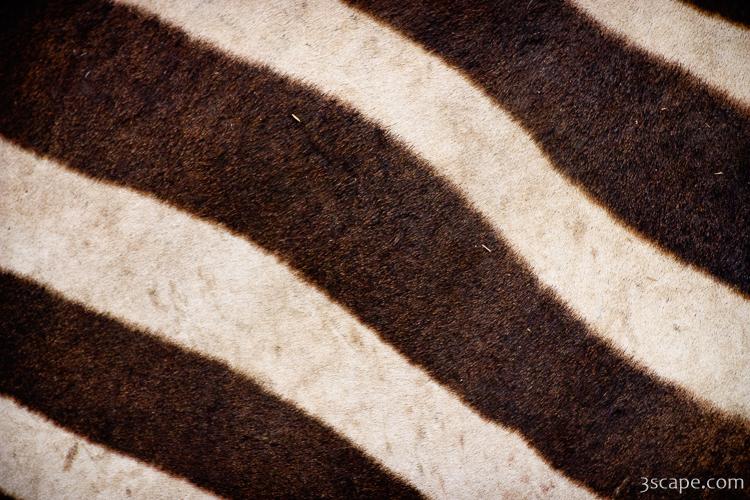 Zebra stripes