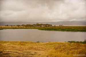 One of two hippo ponds in the crater