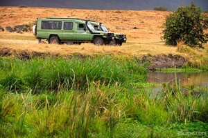 Safari vehicles