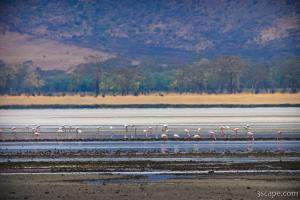 Lake Magadi is the most dominant water feature in the crater, though it was mostly dry