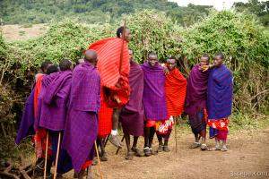Maasai men performing a welcome dance