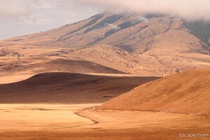 Vastness of the Serengeti