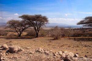 Serengeti terrain changes